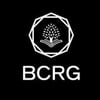 Bonding Curve Research Group (BCRG) logo